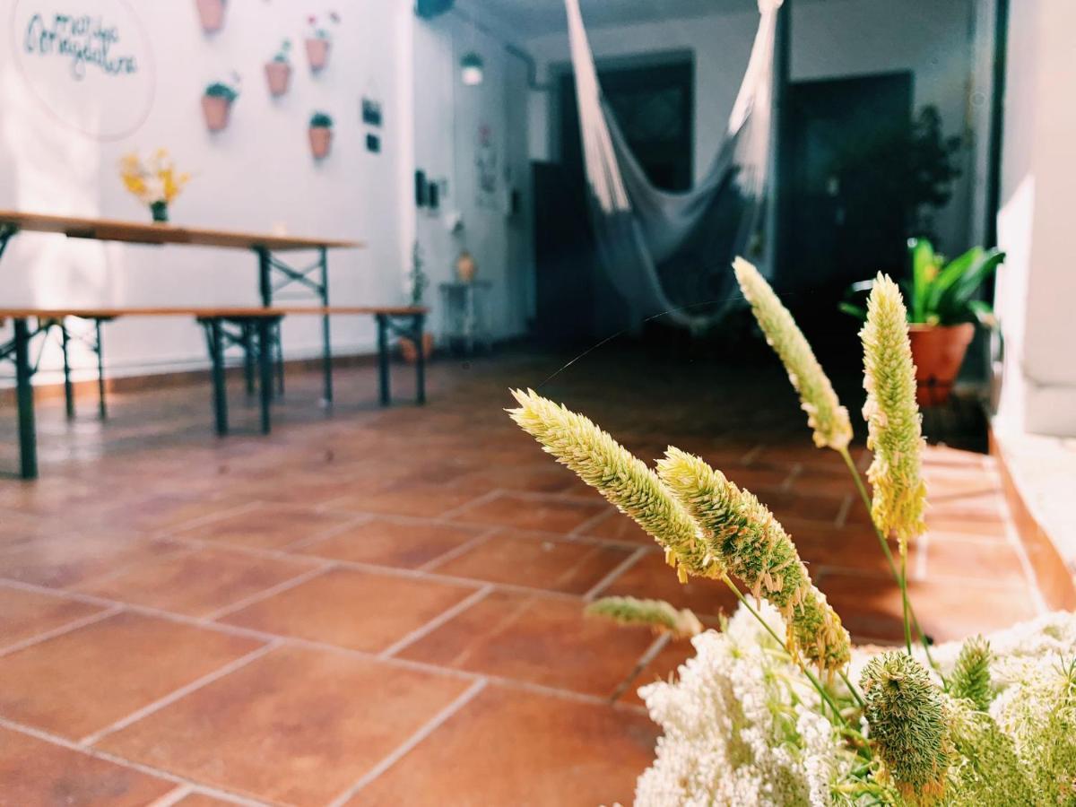 Maria Magdalena - Room 3 Malaga Exterior photo