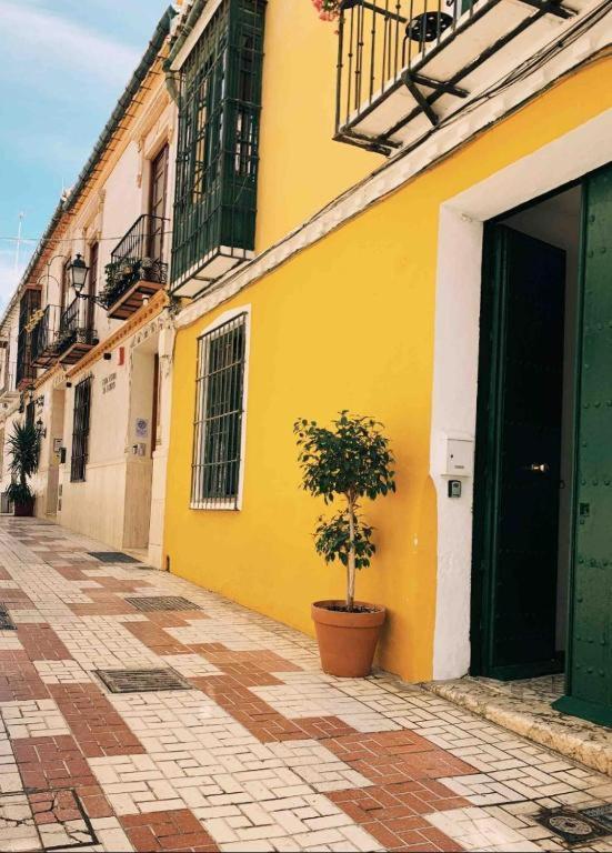 Maria Magdalena - Room 3 Malaga Exterior photo